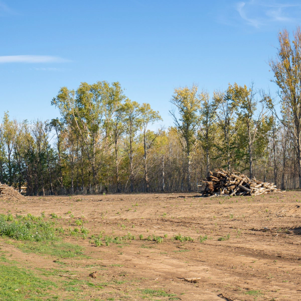 Cleared land after professional forestry mulching in Norman OK