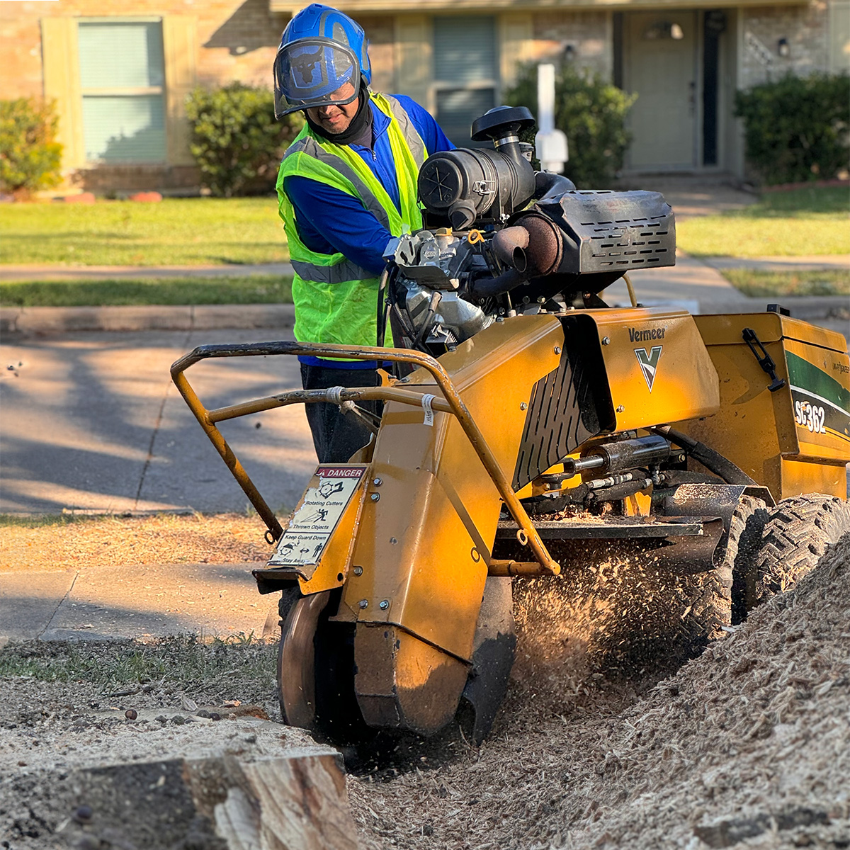Stump grinding and removal services Norman Oklahoma