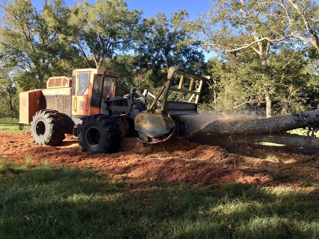 Tree removal and land clearing services in Norman Oklahoma